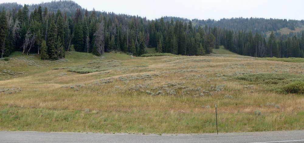 GDMBR: Looking north while still climbing US 26/287 toward Togwotee Pass.
